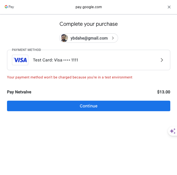 Google Pay test payment